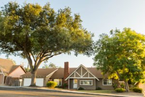 01 1336 E Avenida de Los Arboles HsHProd-37